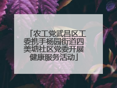 农工党武昌区工委携手杨园街道四美塘社区党委开展健康服务活动