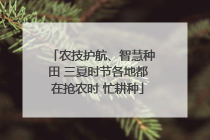 农技护航、智慧种田 三夏时节各地都在抢农时 忙耕种