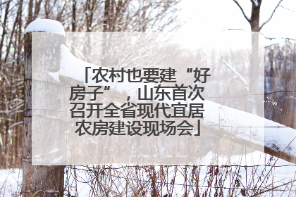农村也要建“好房子”，山东首次召开全省现代宜居农房建设现场会