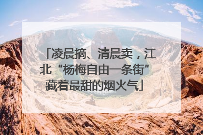 凌晨摘、清晨卖，江北“杨梅自由一条街”藏着最甜的烟火气