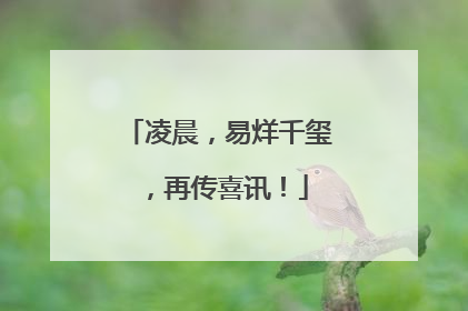 凌晨，易烊千玺，再传喜讯！