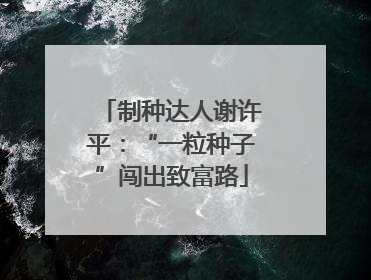制种达人谢许平：“一粒种子”闯出致富路