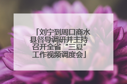 刘宁到周口商水县督导调研并主持召开全省“三夏”工作视频调度会