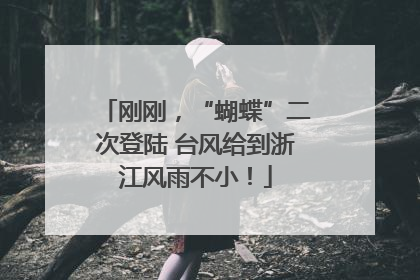 刚刚，“蝴蝶”二次登陆 台风给到浙江风雨不小！