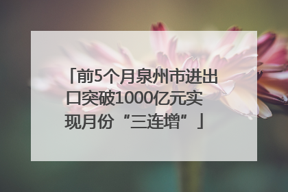 前5个月泉州市进出口突破1000亿元实现月份“三连增”