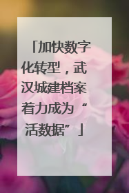 加快数字化转型,武汉城建档案着力成为“活数据”