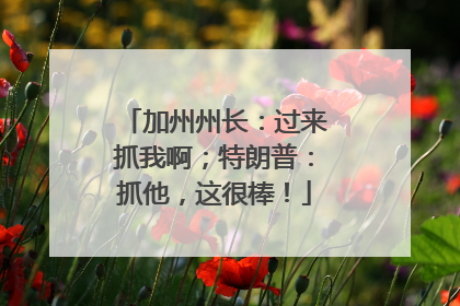 加州州长：过来抓我啊；特朗普：抓他，这很棒！