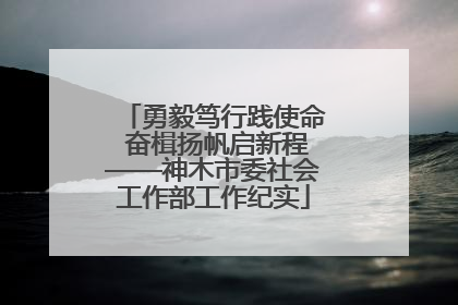 勇毅笃行践使命 奋楫扬帆启新程——神木市委社会工作部工作纪实