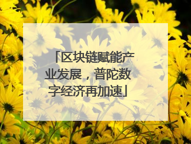 区块链赋能产业发展，普陀数字经济再加速