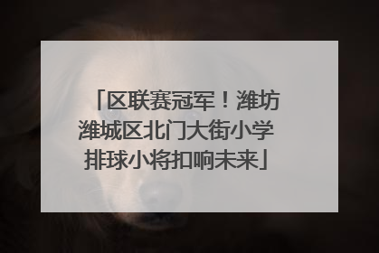 区联赛冠军！潍坊潍城区北门大街小学排球小将扣响未来