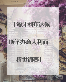 匈牙利布达佩斯举办意大利面桥世锦赛