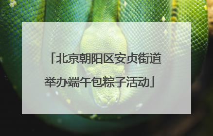 北京朝阳区安贞街道举办端午包粽子活动