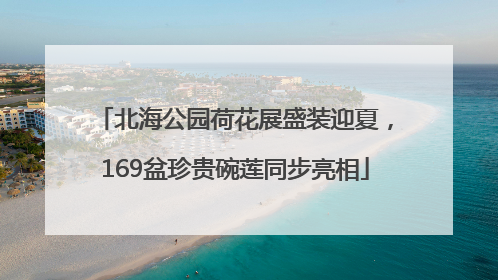 北海公园荷花展盛装迎夏，169盆珍贵碗莲同步亮相