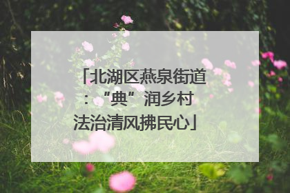 北湖区燕泉街道：“典”润乡村 法治清风拂民心