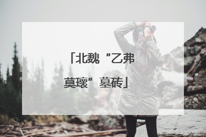 北魏“乙弗莫瓌”墓砖