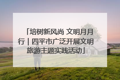 培树新风尚 文明月月行｜四平市广泛开展文明旅游主题实践活动