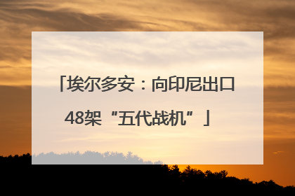 埃尔多安：向印尼出口48架“五代战机”