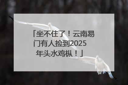 坐不住了！云南易门有人捡到2025年头水鸡枞！