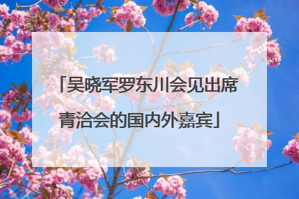 吴晓军罗东川会见出席青洽会的国内外嘉宾