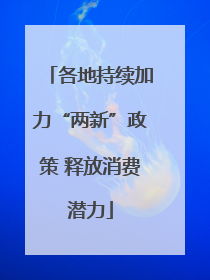 各地持续加力“两新”政策 释放消费潜力
