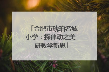 合肥市琥珀名城小学：探律动之美 研教学新思