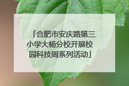 合肥市安庆路第三小学大杨分校开展校园科技周系列活动