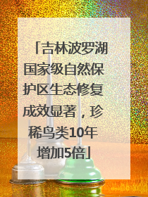 吉林波罗湖国家级自然保护区生态修复成效显著，珍稀鸟类10年增加5倍
