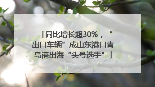 同比增长超30%，“出口车辆”成山东港口青岛港出海“头号选手”