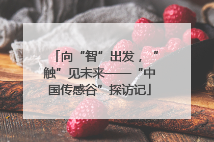 向“智”出发，“触”见未来——“中国传感谷”探访记