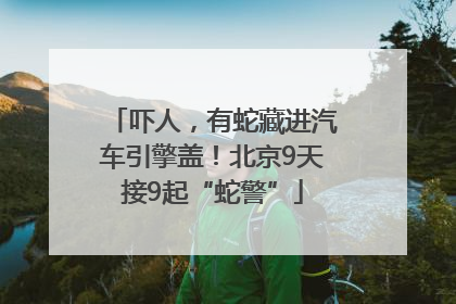 吓人，有蛇藏进汽车引擎盖！北京9天接9起“蛇警”