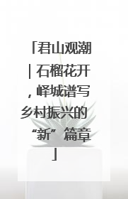 君山观潮｜石榴花开，峄城谱写乡村振兴的“新”篇章