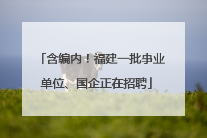 含编内！福建一批事业单位、国企正在招聘