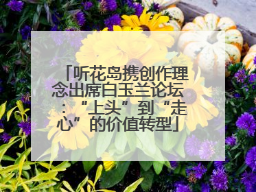 听花岛携创作理念出席白玉兰论坛：“上头”到“走心”的价值转型