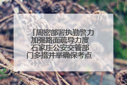 周密部署执勤警力 加强路面疏导力度 石家庄公安交管部门多措并举确保考点周边交通环境良好