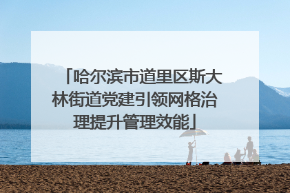哈尔滨市道里区斯大林街道党建引领网格治理提升管理效能