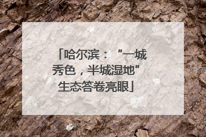 哈尔滨：“一城秀色，半城湿地”生态答卷亮眼