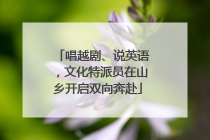 唱越剧、说英语，文化特派员在山乡开启双向奔赴