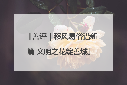 善评｜移风易俗谱新篇 文明之花绽善城