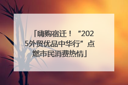 嗨购宿迁！“2025外贸优品中华行”点燃市民消费热情