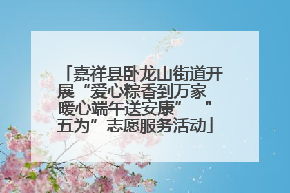 嘉祥县卧龙山街道开展“爱心粽香到万家 暖心端午送安康” “五为”志愿服务活动