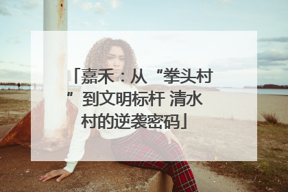 嘉禾：从“拳头村”到文明标杆 清水村的逆袭密码