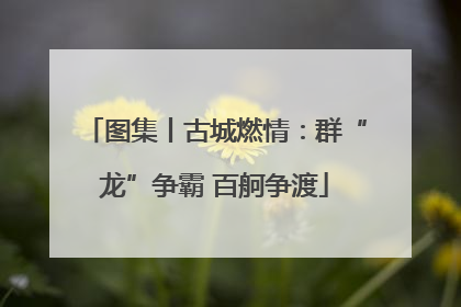 图集丨古城燃情：群“龙”争霸 百舸争渡