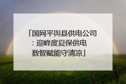 国网平舆县供电公司：迎峰度夏保供电  数智赋能守清凉