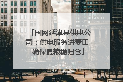 国网延津县供电公司：供电服务进麦田 确保夏粮稳归仓