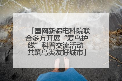 国网新疆电科院联合多方开展“爱鸟护线”科普交流活动 共筑鸟类友好城市