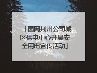 国网荆州公司城区供电中心开展安全用电宣传活动