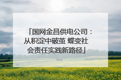 国网金昌供电公司：从积淀中破茧 蝶变社会责任实践新路径