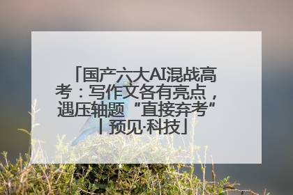 国产六大AI混战高考：写作文各有亮点，遇压轴题“直接弃考”丨预见·科技