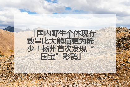 国内野生个体现存数量比大熊猫更为稀少！扬州首次发现“国宝”彩鹮