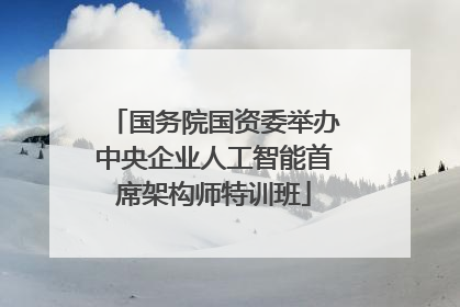 国务院国资委举办中央企业人工智能首席架构师特训班